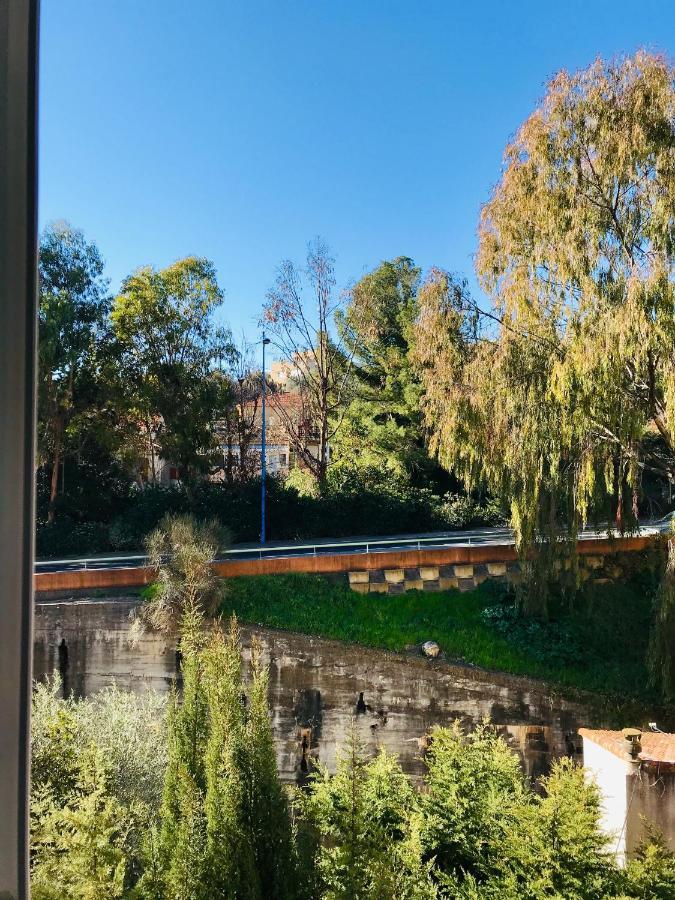 Appartement Paloma Proche Cannes Le Cannet Dış mekan fotoğraf
